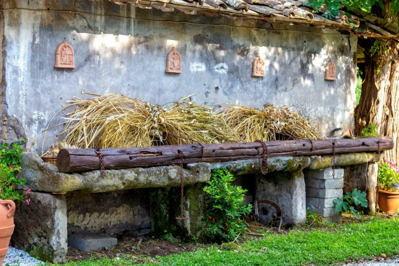Il Castelletto Del Salamaro Viterbo Eksteriør bilde