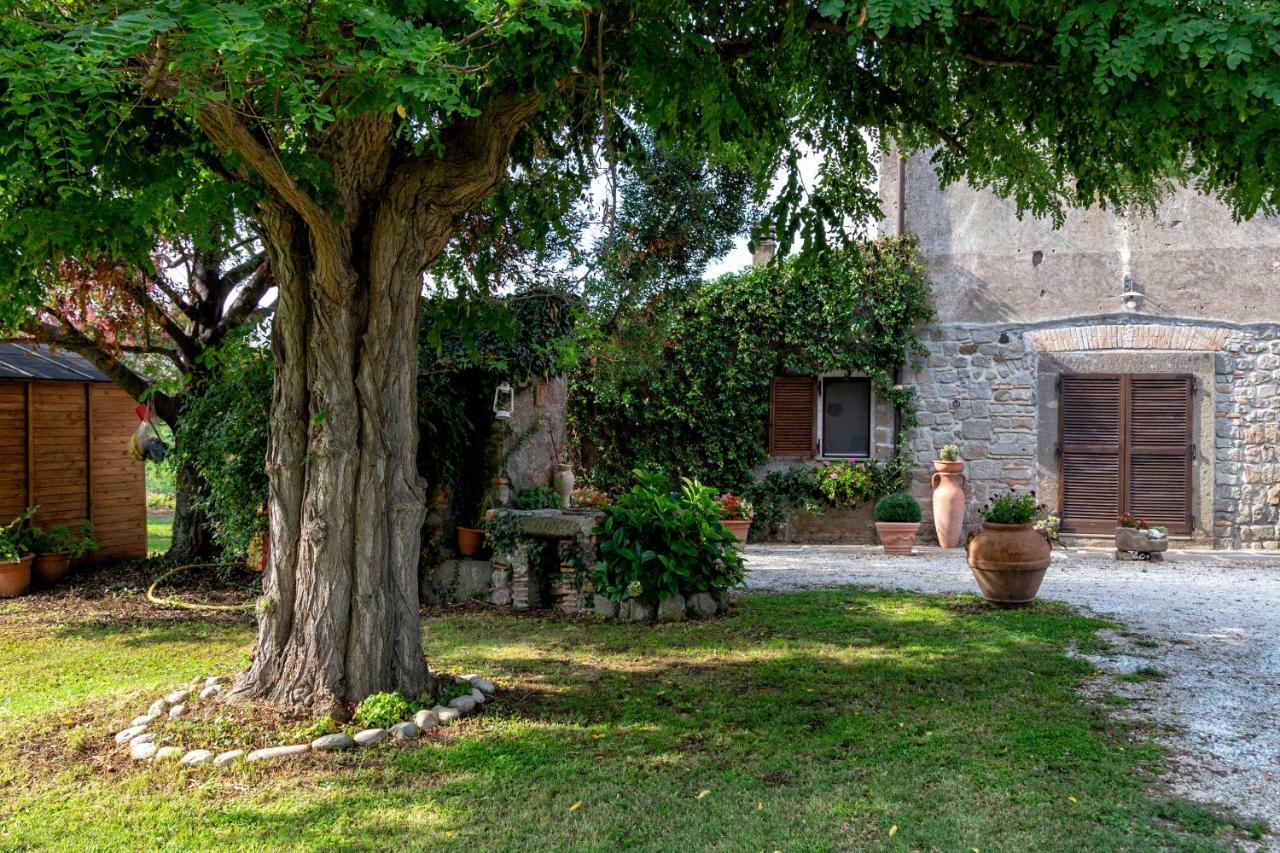 Il Castelletto Del Salamaro Viterbo Eksteriør bilde